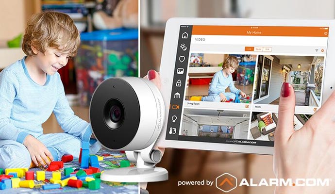 Person monitoring security camera footage