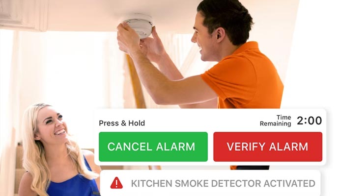 Professional installing carbon monoxide detector system